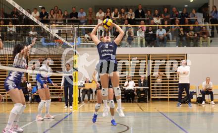 Volleyball. CEV Volleyball Challenge Cup 2024  Women. ATSC Wildcats gegen ZOK UB (SRB).     HOLZINGER Nicole (Wildcats). Klagenfurt, am 11.10.2023.
Foto: Kuess
www.qspictures.net
---
pressefotos, pressefotografie, kuess, qs, qspictures, sport, bild, bilder, bilddatenbank