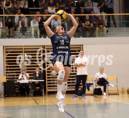 Volleyball. CEV Volleyball Challenge Cup 2024  Women. ATSC Wildcats gegen ZOK UB (SRB).     HOLZINGER Nicole (Wildcats). Klagenfurt, am 11.10.2023.
Foto: Kuess
www.qspictures.net
---
pressefotos, pressefotografie, kuess, qs, qspictures, sport, bild, bilder, bilddatenbank