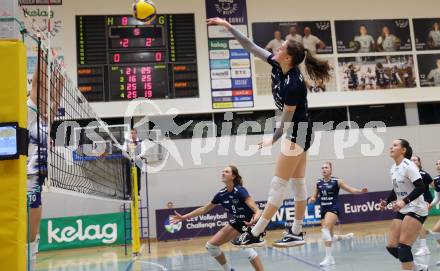 Volleyball. CEV Volleyball Challenge Cup 2024  Women. ATSC Wildcats gegen ZOK UB (SRB).     KRASOVEC Zala (Wildcats). Klagenfurt, am 11.10.2023.
Foto: Kuess
www.qspictures.net
---
pressefotos, pressefotografie, kuess, qs, qspictures, sport, bild, bilder, bilddatenbank