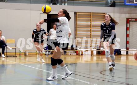 Volleyball. CEV Volleyball Challenge Cup 2024  Women. ATSC Wildcats gegen ZOK UB (SRB).     BIER Julia (Wildcats). Klagenfurt, am 11.10.2023.
Foto: Kuess
www.qspictures.net
---
pressefotos, pressefotografie, kuess, qs, qspictures, sport, bild, bilder, bilddatenbank