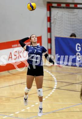 Volleyball. CEV Volleyball Challenge Cup 2024  Women. ATSC Wildcats gegen ZOK UB (SRB).     BAJIC Nikolina (Wildcats). Klagenfurt, am 11.10.2023.
Foto: Kuess
www.qspictures.net
---
pressefotos, pressefotografie, kuess, qs, qspictures, sport, bild, bilder, bilddatenbank