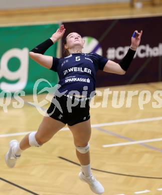 Volleyball. CEV Volleyball Challenge Cup 2024  Women. ATSC Wildcats gegen ZOK UB (SRB).     Neiss Sara (Wildcats). Klagenfurt, am 11.10.2023.
Foto: Kuess
www.qspictures.net
---
pressefotos, pressefotografie, kuess, qs, qspictures, sport, bild, bilder, bilddatenbank