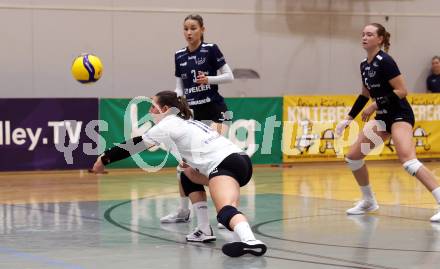 Volleyball. CEV Volleyball Challenge Cup 2024  Women. ATSC Wildcats gegen ZOK UB (SRB).     BIER Julia (Wildcats). Klagenfurt, am 11.10.2023.
Foto: Kuess
www.qspictures.net
---
pressefotos, pressefotografie, kuess, qs, qspictures, sport, bild, bilder, bilddatenbank