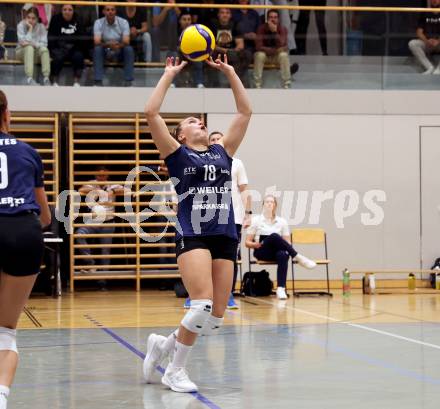 Volleyball. CEV Volleyball Challenge Cup 2024  Women. ATSC Wildcats gegen ZOK UB (SRB).     HOLZINGER Nicole (Wildcats). Klagenfurt, am 11.10.2023.
Foto: Kuess
www.qspictures.net
---
pressefotos, pressefotografie, kuess, qs, qspictures, sport, bild, bilder, bilddatenbank