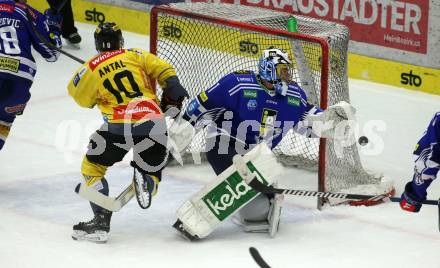 EBEL. Eishockey Bundesliga. EC VSV gegen spusu Vienna Capitals.  Jean Philippe Lamoureux,  (VSV),  Patrick Antal   (Vienna Capitals). Villach, am 9.1.2024.
Foto: Kuess
www.qspictures.net
---
pressefotos, pressefotografie, kuess, qs, qspictures, sport, bild, bilder, bilddatenbank