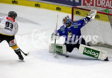 EBEL. Eishockey Bundesliga. EC VSV gegen HC Pustertal Woelfe.  Jean Philippe Lamoureux.   (VSV),  David Morley   (Pustertal). Villach, am 19.1.2024.
Foto: Kuess
www.qspictures.net
---
pressefotos, pressefotografie, kuess, qs, qspictures, sport, bild, bilder, bilddatenbank