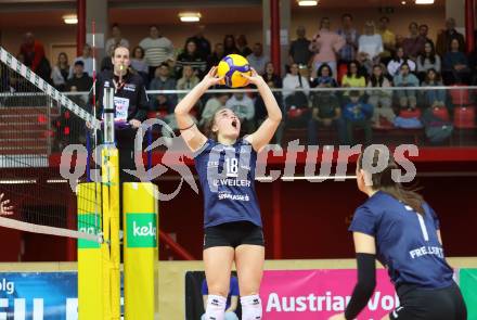 Volleyball. WVL. ATSC Wildcats Klagenfurt gegen Linz/Steg.  Nicole Leonie HOLZINGER  (Wildcats). Klagenfurt, am 12.2.2024.
Foto: Kuess
---
pressefotos, pressefotografie, kuess, qs, qspictures, sport, bild, bilder, bilddatenbank