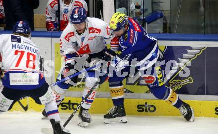 EBEL. Eishockey Bundesliga. EC VSV gegen HC TIWAG Innsbruck. Layne Viveiros,   (VSV), Valentin Ploner  (Innsbruck). Villach, am 21.2.2024.
Foto: Kuess
www.qspictures.net
---
pressefotos, pressefotografie, kuess, qs, qspictures, sport, bild, bilder, bilddatenbank