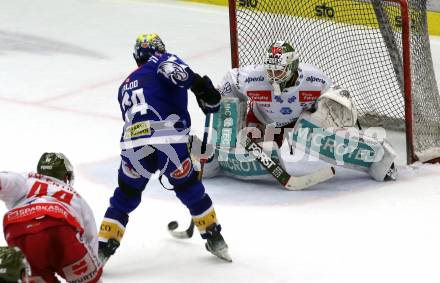 EBEL. Eishockey Bundesliga. EC VSV gegen HCB Suedtirol Alperia.  Maxime Golod,  (VSV),  Sam Harvey  (Bozen). Villach, am 5.3.2024.
Foto: Kuess
www.qspictures.net
---
pressefotos, pressefotografie, kuess, qs, qspictures, sport, bild, bilder, bilddatenbank