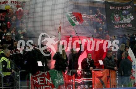 EBEL. Eishockey Bundesliga. EC VSV gegen HCB Suedtirol Alperia.  Fans   (Bozen). Villach, am 9.3.2024.
Foto: Kuess
www.qspictures.net
---
pressefotos, pressefotografie, kuess, qs, qspictures, sport, bild, bilder, bilddatenbank