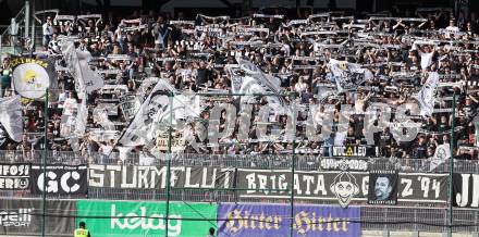 Fussball Bundesliga. SK Austria Klagenfurt gegen SK Puntigamer Sturm Graz. Fans (Graz).  Klagenfurt, am 17.3.2024.
Foto: Kuess
www.qspictures.net
---
pressefotos, pressefotografie, kuess, qs, qspictures, sport, bild, bilder, bilddatenbank