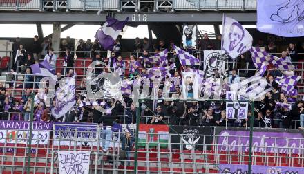 Fussball Bundesliga. SK Austria Klagenfurt gegen SK Puntigamer Sturm Graz.  Fans.  Klagenfurt, am 17.3.2024.
Foto: Kuess
www.qspictures.net
---
pressefotos, pressefotografie, kuess, qs, qspictures, sport, bild, bilder, bilddatenbank