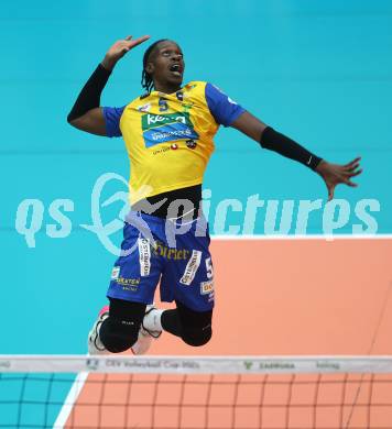 Volleyball CEV Cup. SK Sich/Dob gegen Lausanne. Carlos Yoandrys Charles Santana (Aich/Dob). Bleiburg, am 9.10.2024.
Foto: Kuess
---
pressefotos, pressefotografie, kuess, qs, qspictures, sport, bild, bilder, bilddatenbank