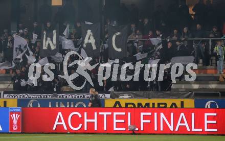 Fussball OEFB Cup. WAC gegen SK Austria Klagenfurt. Fans (WAC). Wolfsberg, am 30.10.2024.
Foto: Kuess
---
pressefotos, pressefotografie, kuess, qs, qspictures, sport, bild, bilder, bilddatenbank