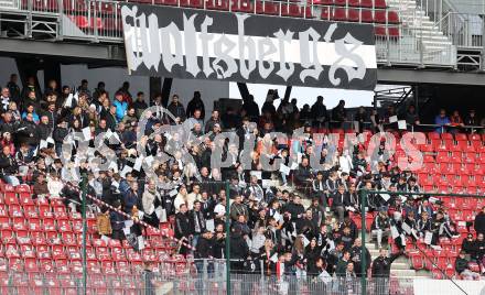 Fussball Bundesliga. SK Austria Klagenfurt gegen WAC.. Fans (WAC). Klagenfurt, am 3.11.2024
Foto: Kuess
---
pressefotos, pressefotografie, kuess, qs, qspictures, sport, bild, bilder, bilddatenbank