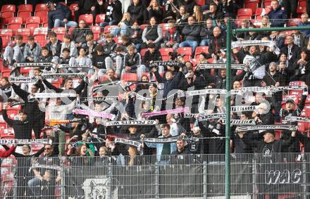 Fussball Bundesliga. SK Austria Klagenfurt gegen WAC.. Fans (WAC). Klagenfurt, am 3.11.2024
Foto: Kuess
---
pressefotos, pressefotografie, kuess, qs, qspictures, sport, bild, bilder, bilddatenbank