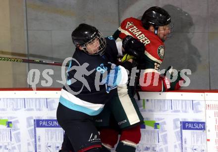 Eishockey. AHC Division 2 Ost.. Lendhafen Seeloewen gegen Reifnitz Trouts. Sandro Czechner (Seeloewen), Daniel Goetzhaber (Reifnitz).. Ferlach, am 15.12.2024.
Foto: Kuess
---
pressefotos, pressefotografie, kuess, qs, qspictures, sport, bild, bilder, bilddatenbank