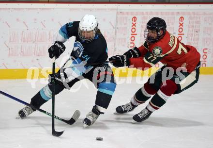 Eishockey. AHC Division 2 Ost.. Lendhafen Seeloewen gegen Reifnitz Trouts. Thomas Cijan Seeloewen), Jonathan Bergmann (Reifnitz).. Ferlach, am 15.12.2024.
Foto: Kuess
---
pressefotos, pressefotografie, kuess, qs, qspictures, sport, bild, bilder, bilddatenbank