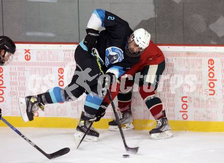 Eishockey. AHC Division 2 Ost.. Lendhafen Seeloewen gegen Reifnitz Trouts. Gert Prohaska (Seeloewen), Maximilian Scherling (Reifnitz).. Ferlach, am 15.12.2024.
Foto: Kuess
---
pressefotos, pressefotografie, kuess, qs, qspictures, sport, bild, bilder, bilddatenbank