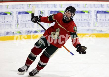 Eishockey. AHC Division 2 Ost.. Lendhafen Seeloewen gegen Reifnitz Trouts. Torjubel Marco Ungericht (Reifnitz).. Ferlach, am 15.12.2024.
Foto: Kuess
---
pressefotos, pressefotografie, kuess, qs, qspictures, sport, bild, bilder, bilddatenbank