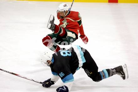 Eishockey. AHC Division 2 Ost.. Lendhafen Seeloewen gegen Reifnitz Trouts. Philipp Adlassnig (Seeloewen), Oliver Steinwender  (Reifnitz).. Ferlach, am 15.12.2024.
Foto: Kuess
---
pressefotos, pressefotografie, kuess, qs, qspictures, sport, bild, bilder, bilddatenbank