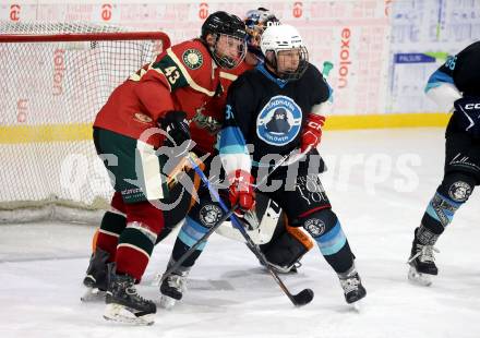 Eishockey. AHC Division 2 Ost.. Lendhafen Seeloewen gegen Reifnitz Trouts. Peter Kasper (Seeloewen), Christian Maier (Reifnitz).. Ferlach, am 15.12.2024.
Foto: Kuess
---
pressefotos, pressefotografie, kuess, qs, qspictures, sport, bild, bilder, bilddatenbank