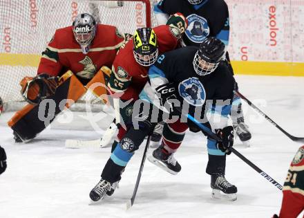 Eishockey. AHC Division 2 Ost.. Lendhafen Seeloewen gegen Reifnitz Trouts. Alexander Cijan  (Seeloewen), Thomas Winkler  (Reifnitz).. Ferlach, am 15.12.2024.
Foto: Kuess
---
pressefotos, pressefotografie, kuess, qs, qspictures, sport, bild, bilder, bilddatenbank