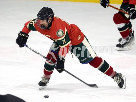 Eishockey. AHC Division 2 Ost.. Lendhafen Seeloewen gegen Reifnitz Trouts. Nico Toff (Reifnitz).. Ferlach, am 15.12.2024.
Foto: Kuess
---
pressefotos, pressefotografie, kuess, qs, qspictures, sport, bild, bilder, bilddatenbank