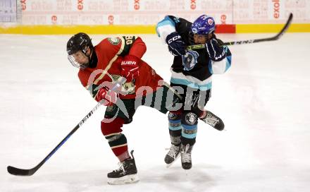 Eishockey. AHC Division 2 Ost.. Lendhafen Seeloewen gegen Reifnitz Trouts. Daniel Wachter (Seeloewen), Martin Zeloth (Reifnitz).. Ferlach, am 15.12.2024.
Foto: Kuess
---
pressefotos, pressefotografie, kuess, qs, qspictures, sport, bild, bilder, bilddatenbank