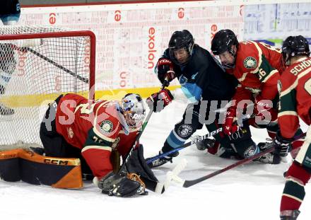 Eishockey. AHC Division 2 Ost.. Lendhafen Seeloewen gegen Reifnitz Trouts. Paul Klein (Seeloewen), Thomas Stroj, Martin Zeloth  (Reifnitz).. Ferlach, am 15.12.2024.
Foto: Kuess
---
pressefotos, pressefotografie, kuess, qs, qspictures, sport, bild, bilder, bilddatenbank