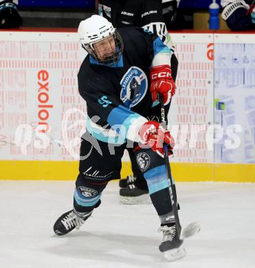 Eishockey. AHC Division 2 Ost.. Lendhafen Seeloewen gegen Reifnitz Trouts. Peter Kasper (Seeloewen). Ferlach, am 15.12.2024.
Foto: Kuess
---
pressefotos, pressefotografie, kuess, qs, qspictures, sport, bild, bilder, bilddatenbank