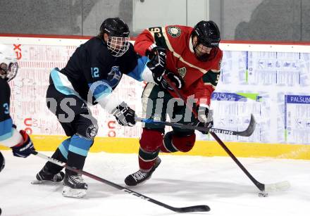 Eishockey. AHC Division 2 Ost.. Lendhafen Seeloewen gegen Reifnitz Trouts. Alexander Cijan (Seeloewen), Josef Schoenett (Reifnitz).. Ferlach, am 15.12.2024.
Foto: Kuess
---
pressefotos, pressefotografie, kuess, qs, qspictures, sport, bild, bilder, bilddatenbank