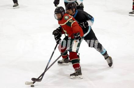 Eishockey. AHC Division 2 Ost.. Lendhafen Seeloewen gegen Reifnitz Trouts. David Widnig (Seeloewen),Christian Pessentheiner (Reifnitz).. Ferlach, am 15.12.2024.
Foto: Kuess
---
pressefotos, pressefotografie, kuess, qs, qspictures, sport, bild, bilder, bilddatenbank