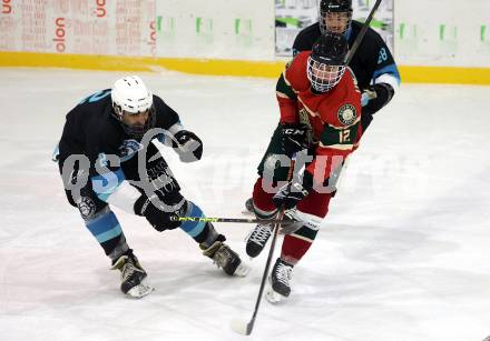 Eishockey. AHC Division 2 Ost.. Lendhafen Seeloewen gegen Reifnitz Trouts. Gert Prohaska (Seeloewen), Marco Ungericht (Reifnitz).. Ferlach, am 15.12.2024.
Foto: Kuess
---
pressefotos, pressefotografie, kuess, qs, qspictures, sport, bild, bilder, bilddatenbank