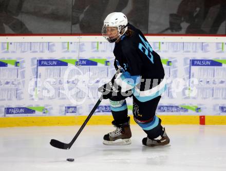 Eishockey. AHC Division 2 Ost. Lendhafen Seeloewen gegen Reifnitz Trouts. Thomas Cijan (Lendhafen Seeloewen). Ferlach, am 15.12.2024.
Foto: Kuess
---
pressefotos, pressefotografie, kuess, qs, qspictures, sport, bild, bilder, bilddatenbank