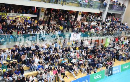 Volleyball. Cupfinale. SK Aich/Dob gegen Hypo Tirol Volleyballteam.  Fans  (Aich/Dob). Bleiburg, 16.2.2025.
Foto: Kuess
---
pressefotos, pressefotografie, kuess, qs, qspictures, sport, bild, bilder, bilddatenbank