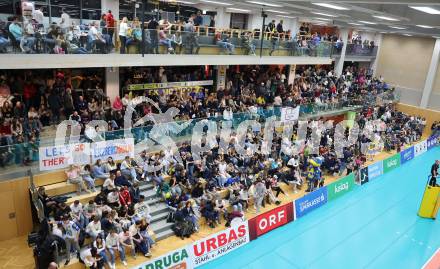 Volleyball. Cupfinale. SK Aich/Dob gegen Hypo Tirol Volleyballteam.  Fans (Aich/Dob). Bleiburg, 16.2.2025.
Foto: Kuess
---
pressefotos, pressefotografie, kuess, qs, qspictures, sport, bild, bilder, bilddatenbank