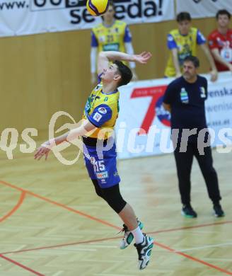 Volleyball Bundesliga. AVL. Austrian Volleyball League.   (Aich/Dob) gegen Waldviertel.  Armands Rokjans   (Aich/Dob). Bleiburg, am 5.11.2025.
Foto: Kuess
www.qspictures.net
---
pressefotos, pressefotografie, kuess, qs, qspictures, sport, bild, bilder, bilddatenbank